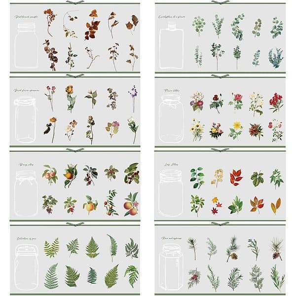 Large Nature PET Stickers Pack - Decorative Scrapbooking Sticker