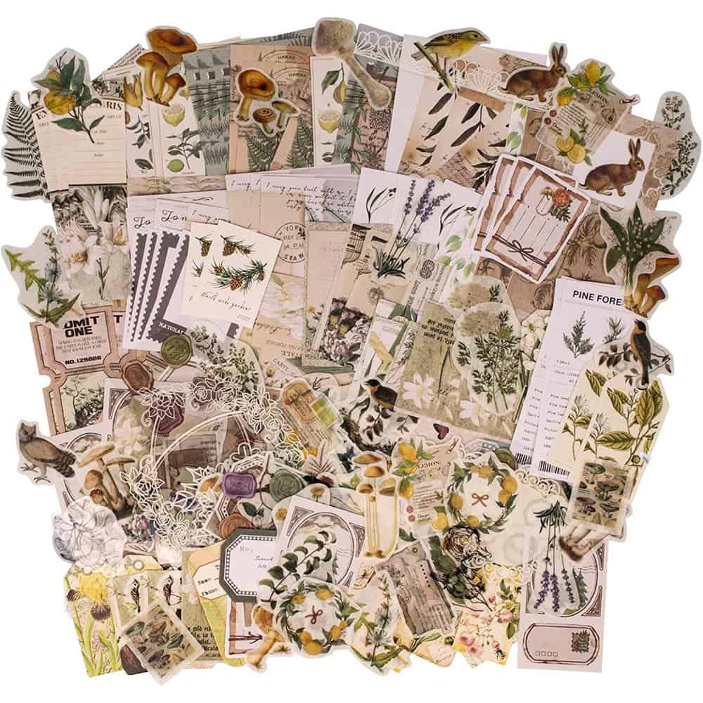 Scrapbook Ephemera Sticker Supplies Journaling Set