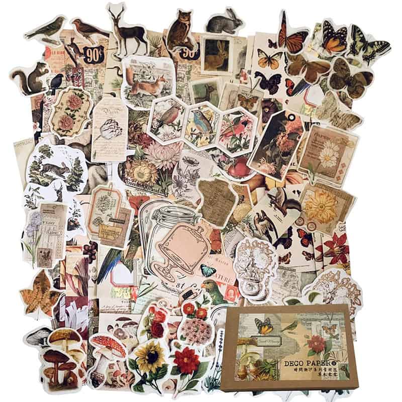 Nature Scrapbooking and Journaling Supplies Bundle