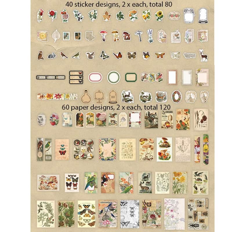 Nature Scrapbooking and Journaling Supplies Bundle