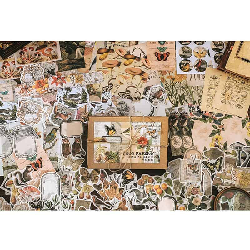 Nature Scrapbooking and Journaling Supplies Bundle